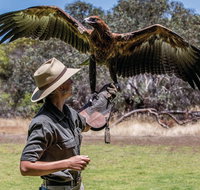 One Day Kangaroo Island Sip  See tour with return ferry transfers from Adelaide - Restaurant Darwin