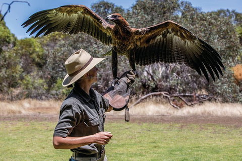 One Day Kangaroo Island Sip & See Tour With Return Ferry Transfers From Adelaide - Restaurant Darwin 0