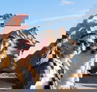 Full-Day Kangaroo Island Experience Departing from Kangaroo Island - Restaurant Darwin