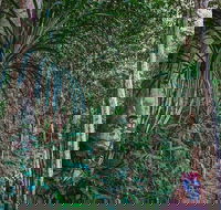 Atherton Tablelands Rain Forest by Night from Cairns - Restaurant Darwin