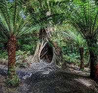 Adelaide to Melbourne 3-Day Trip through Grampians and Great Ocean Road - Restaurant Darwin