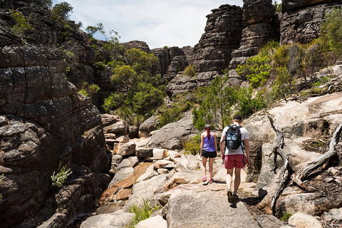 Grampians National Park With Kangaroos And MacKenzie Falls From Melbourne - Restaurant Darwin 3