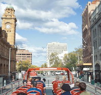 Hobart Hop-On Hop-Off Bus  kunanyi/Mt Wellington Tour - Restaurant Darwin