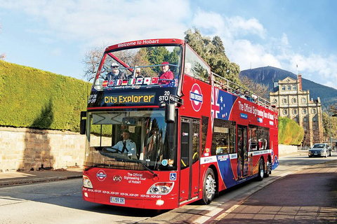 Hobart Hop-On Hop-Off Bus & Kunanyi/Mt Wellington Tour - Restaurant Darwin 4