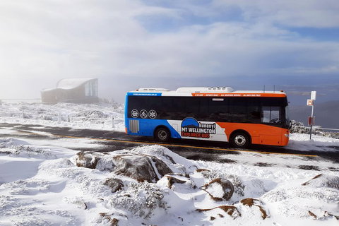 Hobart Hop-On Hop-Off Bus & Kunanyi/Mt Wellington Tour - Restaurant Darwin 5