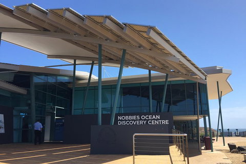 Phillip Island Penguin And Koala Highlights Day-Trip From Melbourne - Restaurant Darwin 1