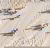 Unlimited Sandboarding - Restaurant Darwin