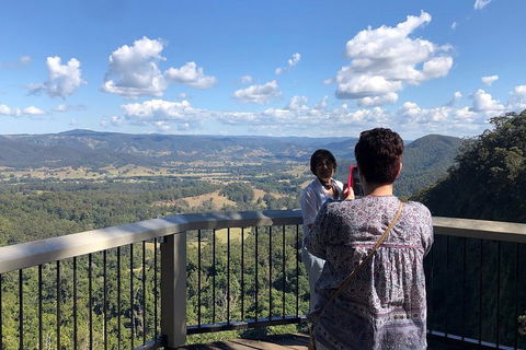 Sunshine Coast Private Scenic Guided Tour Inc. 2-Course Gourmet Lunch - Restaurant Darwin 4