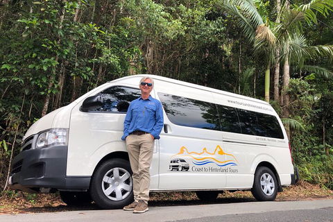 Sunshine Coast Hinterland Rainforest, Views And Montville Day Tour Inc. Lunch - Restaurant Darwin 1