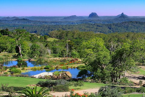 Sunshine Coast Hinterland Rainforest, Views And Montville Day Tour Inc. Lunch - Restaurant Darwin 5
