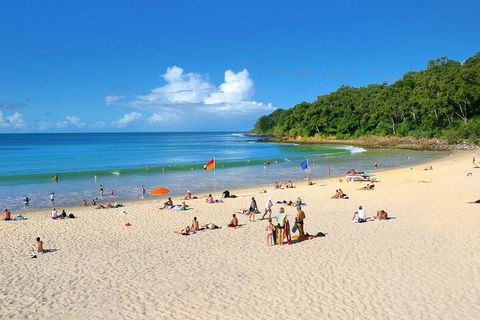 Noosa Everglades Serenity Cruise & Highlights Tour Inc. Lunch & Cruise - Restaurant Darwin 4