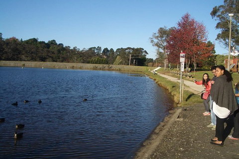 PRIVATE All-Day Blue Mountains Tour With Professional Guide For Up To 4 People - Restaurant Darwin 2
