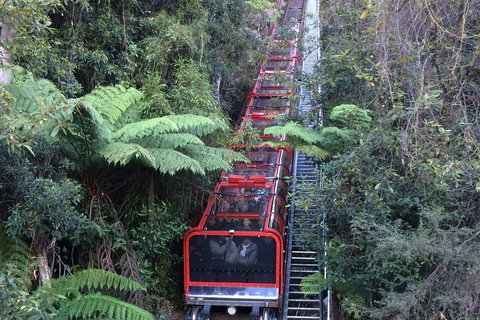 Blue Mountains Private Full-Day Tour From Sydney With Cruise - Restaurant Darwin 5