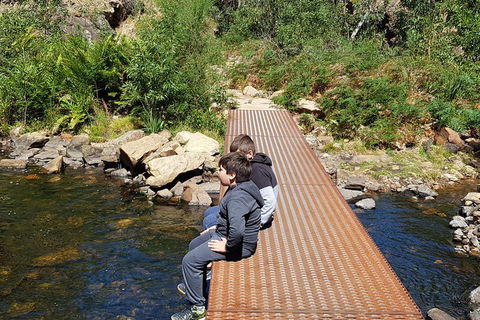 Grampians & Halls Gap - Restaurant Darwin 2