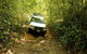 Barron Gorge And Kuranda National Park Half Day Rainforest And Waterfall 4WD Tour From Cairns - thumb 2