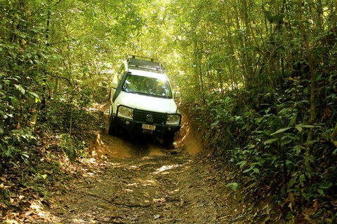 Barron Gorge And Kuranda National Park Half Day Rainforest And Waterfall 4WD Tour From Cairns - Restaurant Darwin 2
