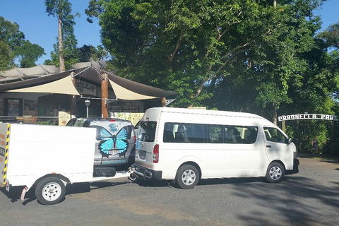 Airport Transfer To Or From Cairns Hotels For Up To 13 People - Restaurant Darwin 4