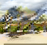 1 Day Exclusively Private Tour Of Phillip Island  The Penguin Parade - Restaurant Darwin