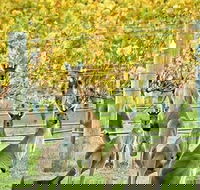 Margaret River Indulge and Discover Day Tour - Restaurant Darwin