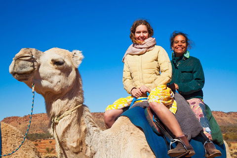 Alice Springs Camel Tour - Restaurant Darwin 3