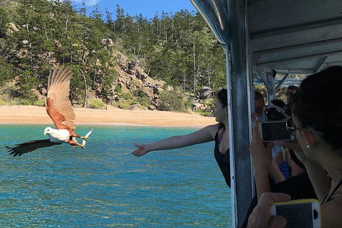 Aquascene Magnetic Island Discovery Tour - Restaurant Darwin 2