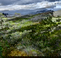 3-Day Tour to the Falls Mountains Lake  More of West Coast Tasmania - Restaurant Darwin