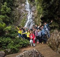 5-Day Lap of Tasmania Tour from Hobart flexible ticket - Restaurant Darwin
