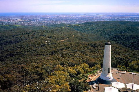 Adelaide Shore Excursion: Adelaide City Tour By Private Limo - Restaurant Darwin 3