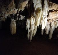 The Pinnacle Adventure Tour - Restaurant Darwin