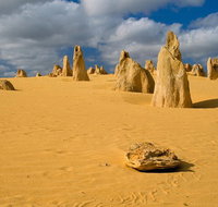 The Pinnacles Sea and Dunescapes Bush Reserve and Sunset Day Tour - Restaurant Darwin