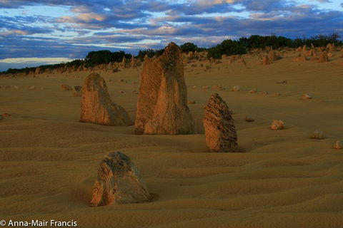 The Pinnacles, Sea And Dunescapes, Bush Reserve And Sunset Day Tour - Restaurant Darwin 1