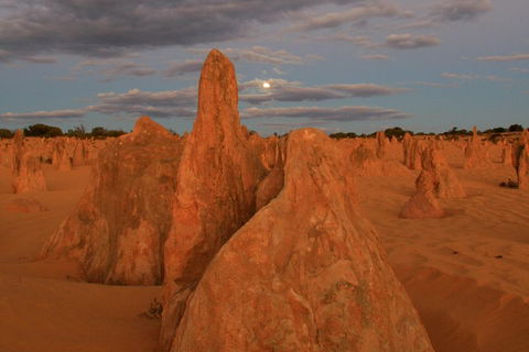 The Pinnacles, Sea And Dunescapes, Bush Reserve And Sunset Day Tour - Restaurant Darwin 4