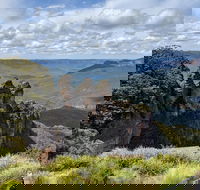 Blue Mountains Private Tour - wild kangaroos waterfalls and The Three Sisters - Restaurant Darwin