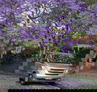 Sydney Secrets  Bondi Beach Private 4 Hr Morning with Personalised Sydney Tours - Restaurant Darwin