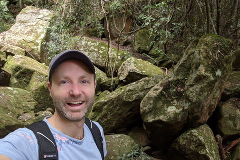 Australian Wildlife & Waterfalls Private Tour With 'Personalised Sydney Tours' - Restaurant Darwin 4