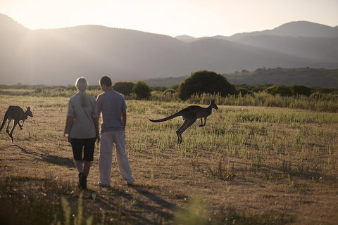 Overnight Daylesford And Macedon Ranges Gourmet Food Trail Tour From Melbourne - Restaurant Darwin 1