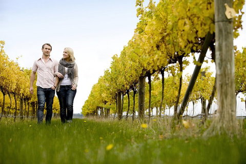 Overnight Daylesford And Macedon Ranges Gourmet Food Trail Tour From Melbourne - Restaurant Darwin 2