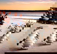 Private Tour Penguin Parade Phillip Island Tour. - Restaurant Darwin