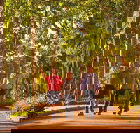 Darwin City Sights and Jumping Crocodile Cruise - Restaurant Darwin