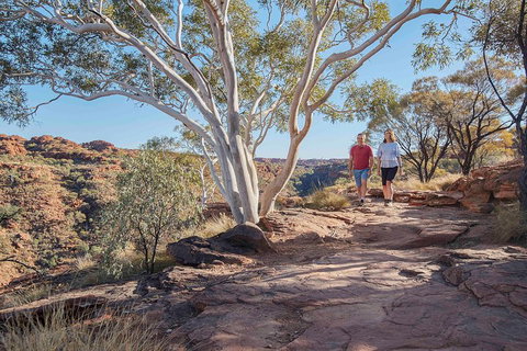 3-Day Tour From Uluru (Ayers Rock) To Alice Springs Via Kings Canyon - Restaurant Darwin 1