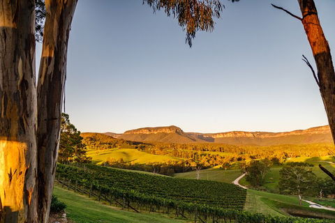 Taste Of The Blue Mountains - Lunch & Wine Tasting, Beer, Cider & Gin Tasting - Restaurant Darwin 1