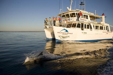 Jervis Bay Dolphin Watch Cruise - Restaurant Darwin 3