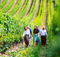 Tasmanian Wine Tour - Restaurant Darwin