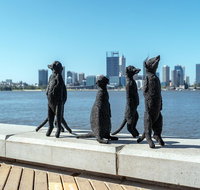 Perth by Bike Private Tour with a Local - Restaurant Darwin