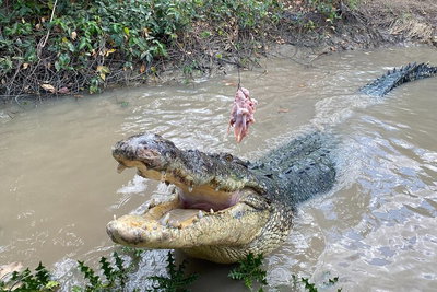 Top End Waterfalls and Wetlands