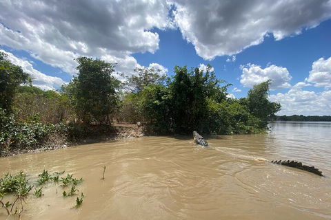 Top End Waterfalls And Wetlands - Restaurant Darwin 2