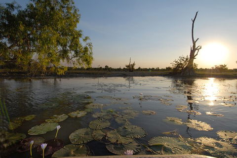 Top End Waterfalls And Wetlands - Restaurant Darwin 4