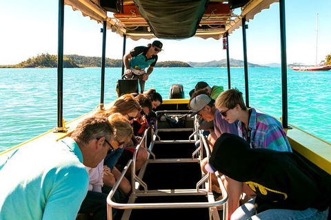 Airlie Beach Glass Bottom Boat Tour - Restaurant Darwin 1