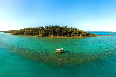 Airlie Beach Glass Bottom Boat Tour - Restaurant Darwin 3