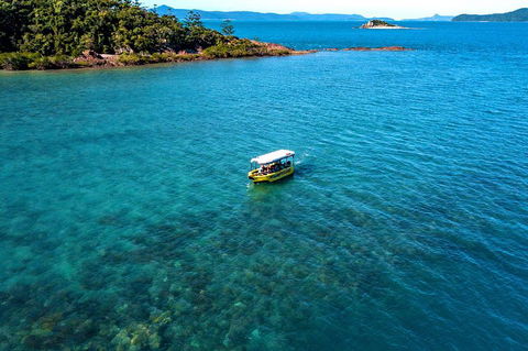 Airlie Beach Glass Bottom Boat Tour - Restaurant Darwin 4